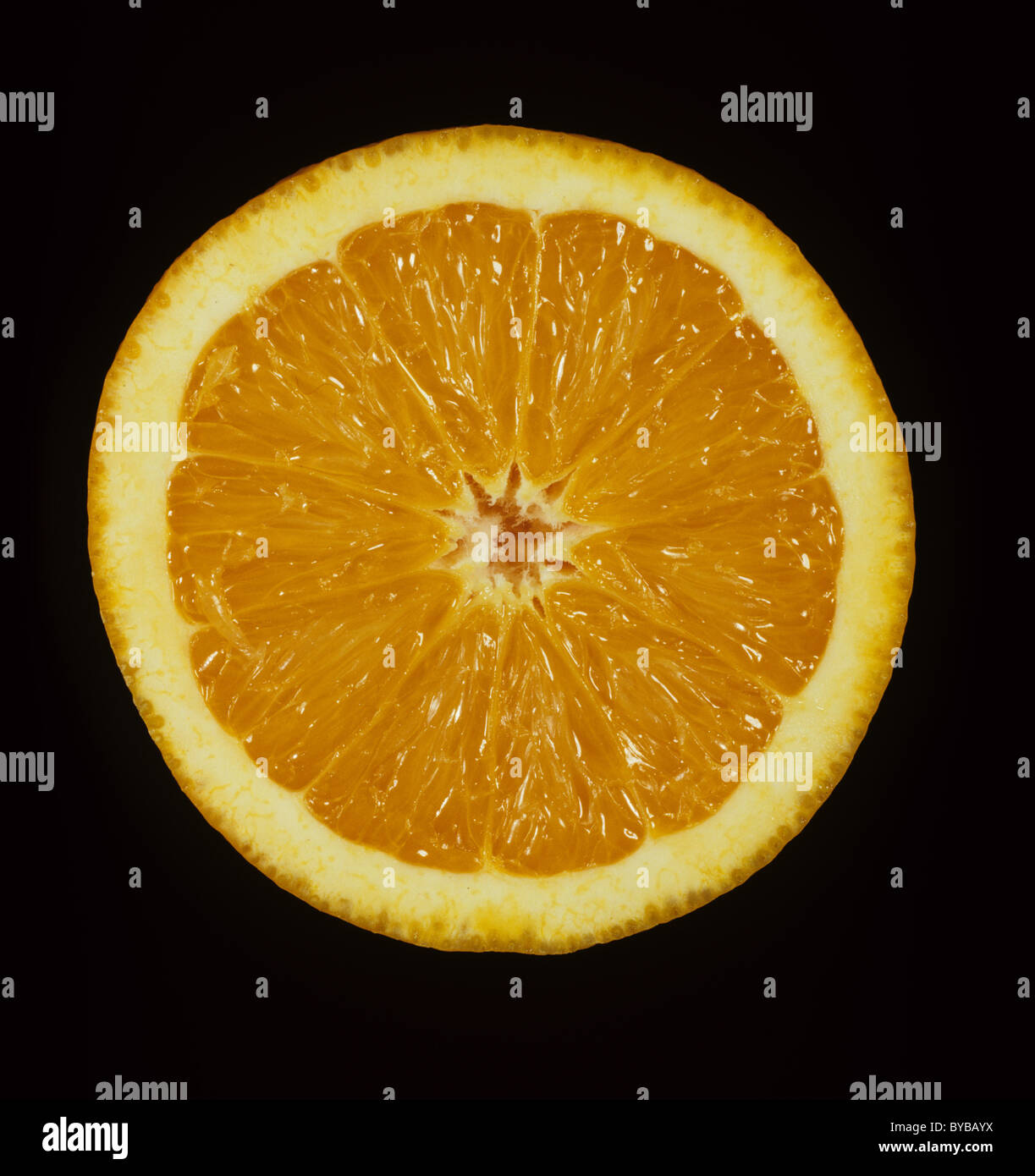 Schnittfläche eines Orangenfrucht Sorte Verna Stockfoto