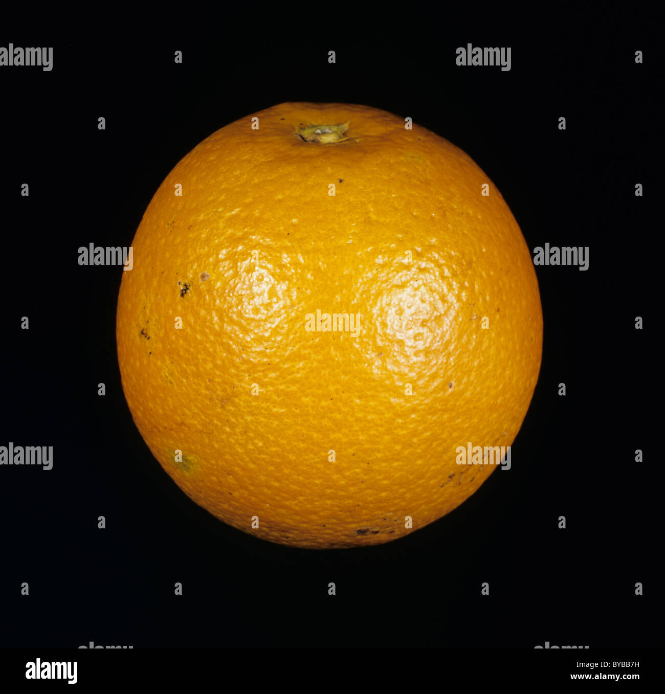 Gesamten Zitrusfrucht orange Sorte Ananas Stockfoto