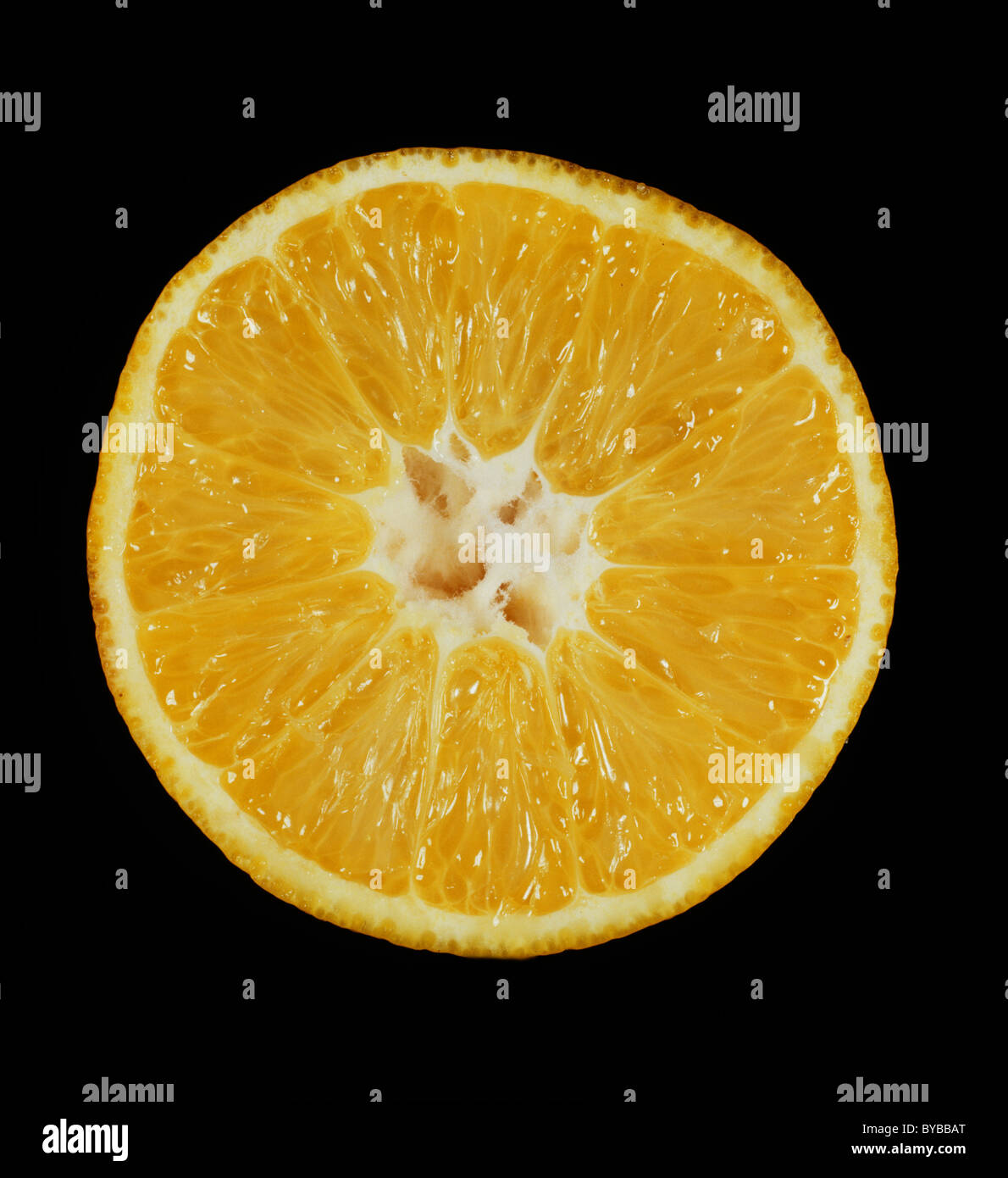 Schnittbereich von verschiedensten Zitrusfrucht orange Creolla Tardia Stockfoto