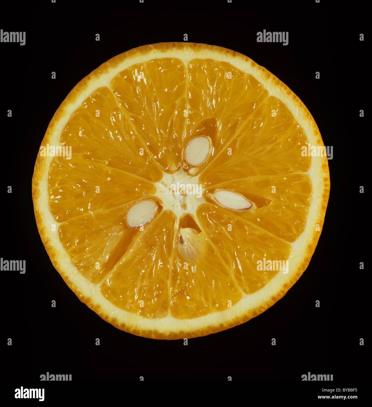 Schnittfläche eine Orangenfrucht Sorte Parson Brown Stockfoto