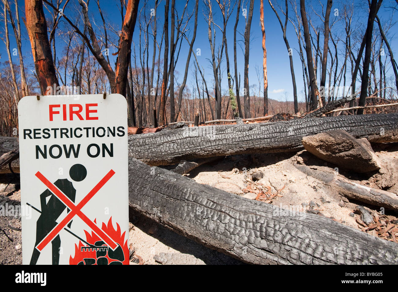 Wald im Dezember 2009 durch Buschfeuer in der Nähe von Michelago, New South Wales, Australien, zerstört. Stockfoto