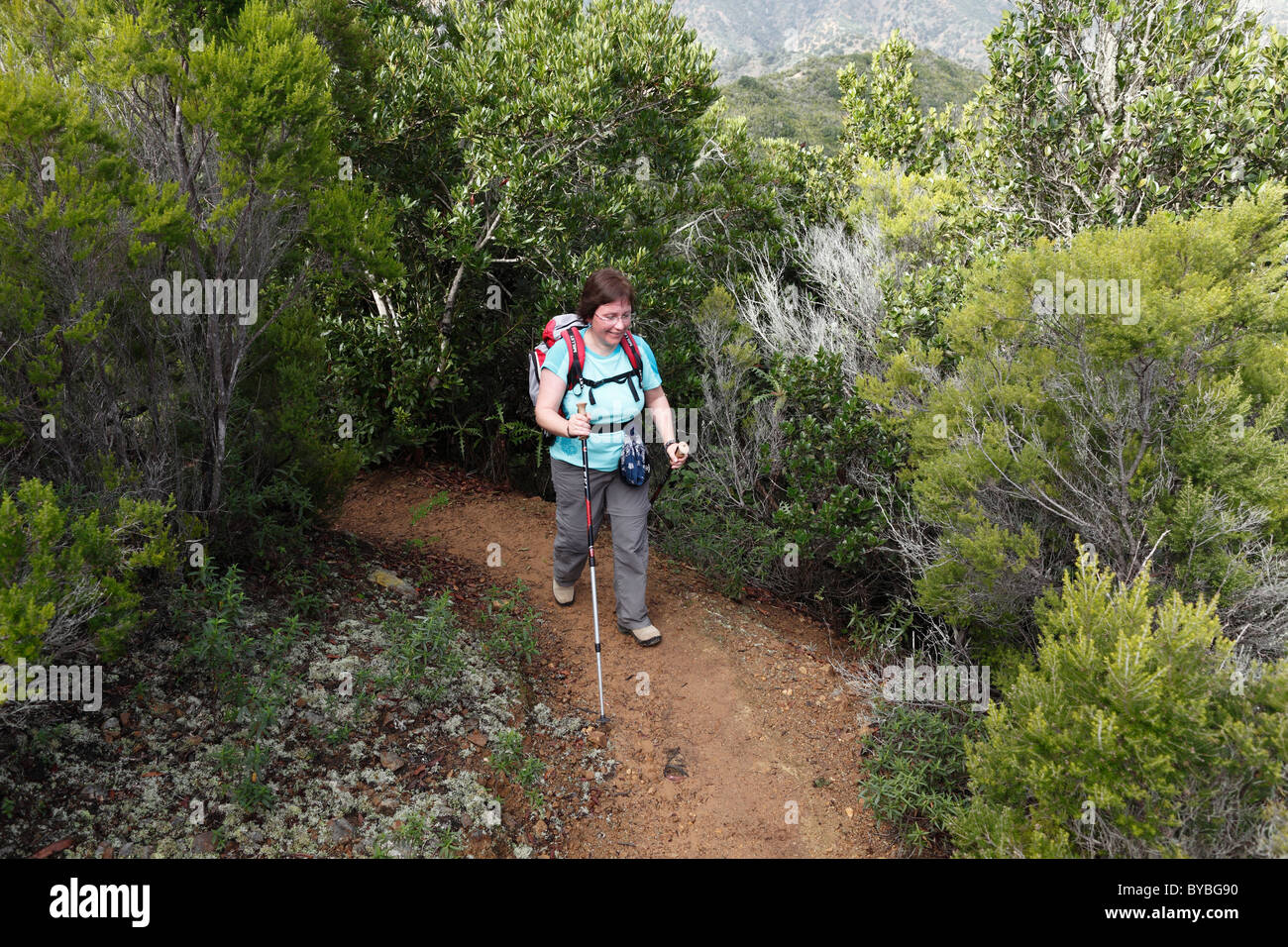 Wandern auf einem Waldweg in der Nähe von Vallehermoso, Frau La Gomera Insel, Kanaren, Spanien, Europa Stockfoto