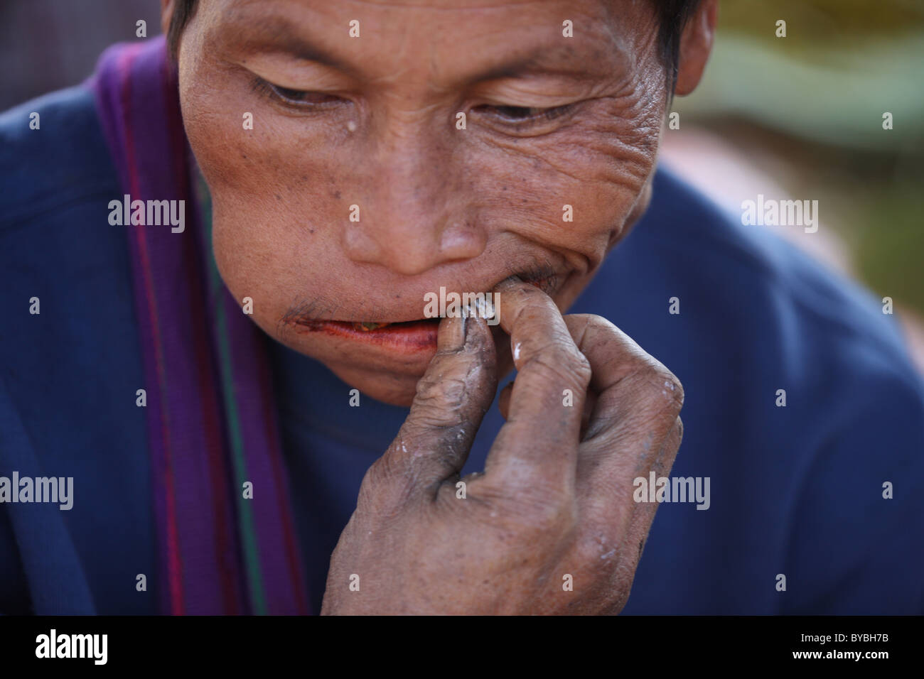 Burma, Birma, Myanmar, 20100223, champ betel Stockfoto