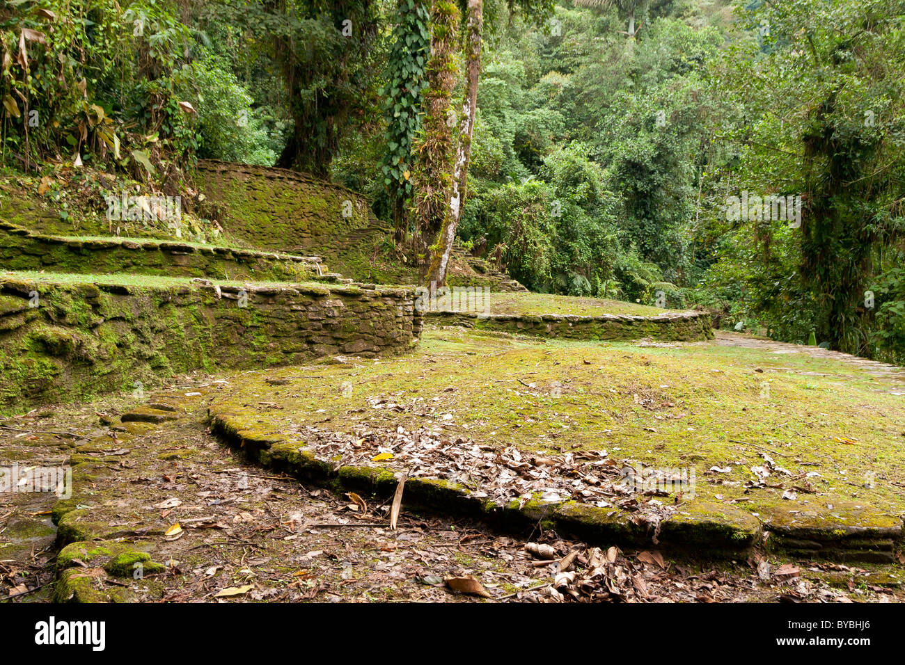Ciudad Perdida, verlor die Stadt in Kolumbien Sierra Nevada de Santa Marta NP Stockfoto