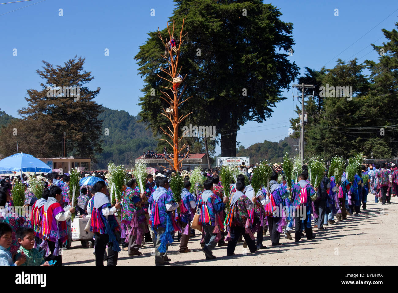 Lokale Tradition, San Sebastian Festival, Zinacantán, 10 km außerhalb von San Cristobal de Las Casas, Chiapas, Mexiko Stockfoto