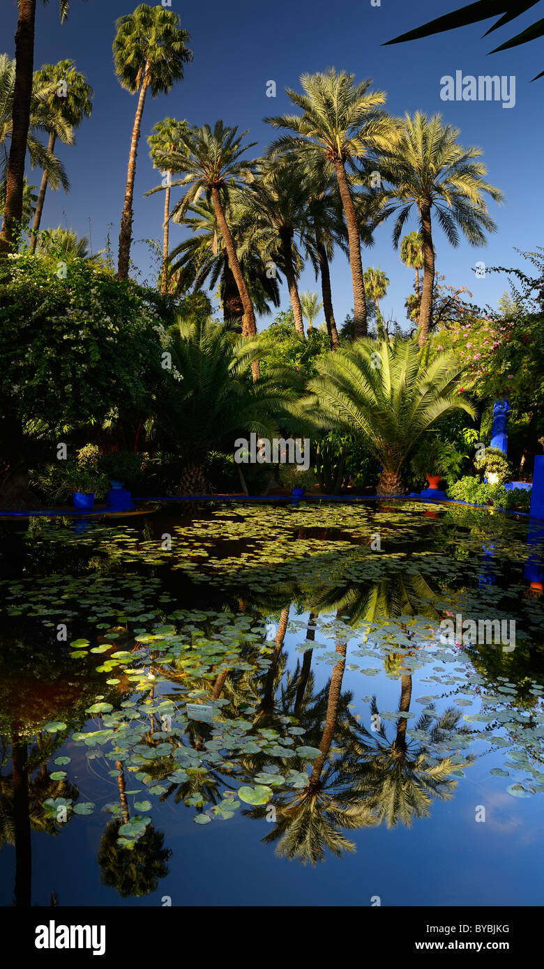 Vertikales Panorama der Wetter und Palmen im Garten Majorelle in Marrakesch Marokko Stockfoto