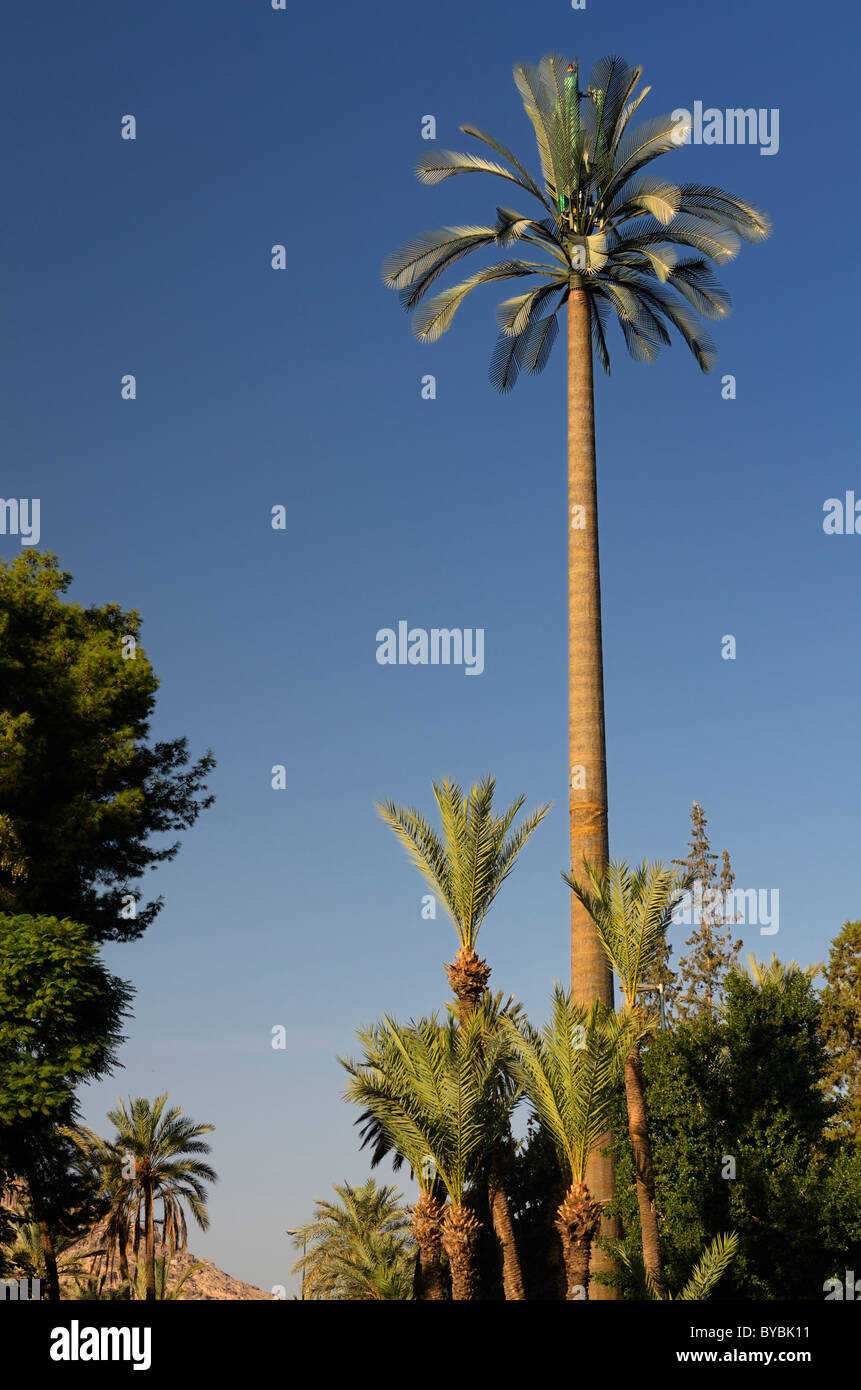Handy Turm bei einem marrakesch Resort getarnt als Fake hohen Palmen am blauen Himmel Stockfoto