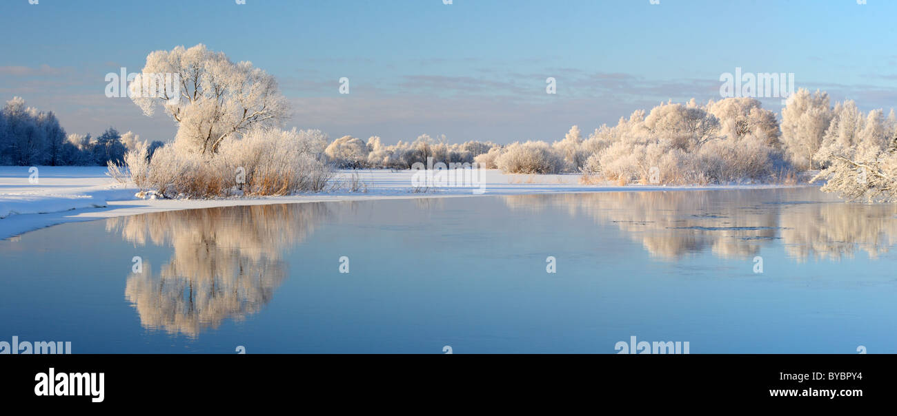 Panorama-Aufnahme von Frost bedeckt Bäume am Fluss Emajõgi. Europa, Estland Stockfoto