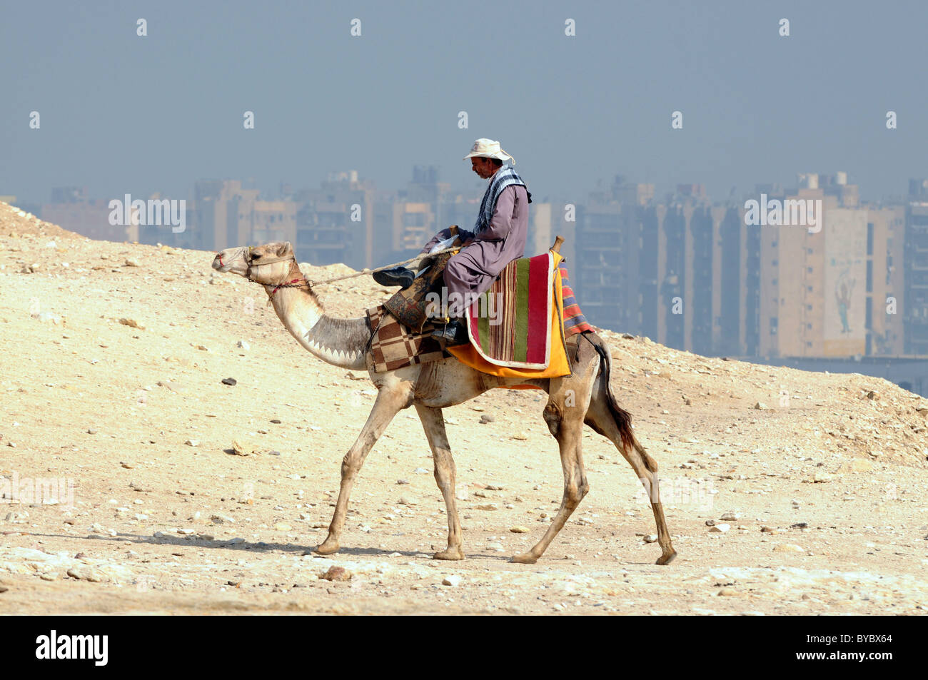 Ägypten, lokale Reiten ein Kamel von Gizeh in Ägypten Cairo Stadt im Hintergrund. Stockfoto