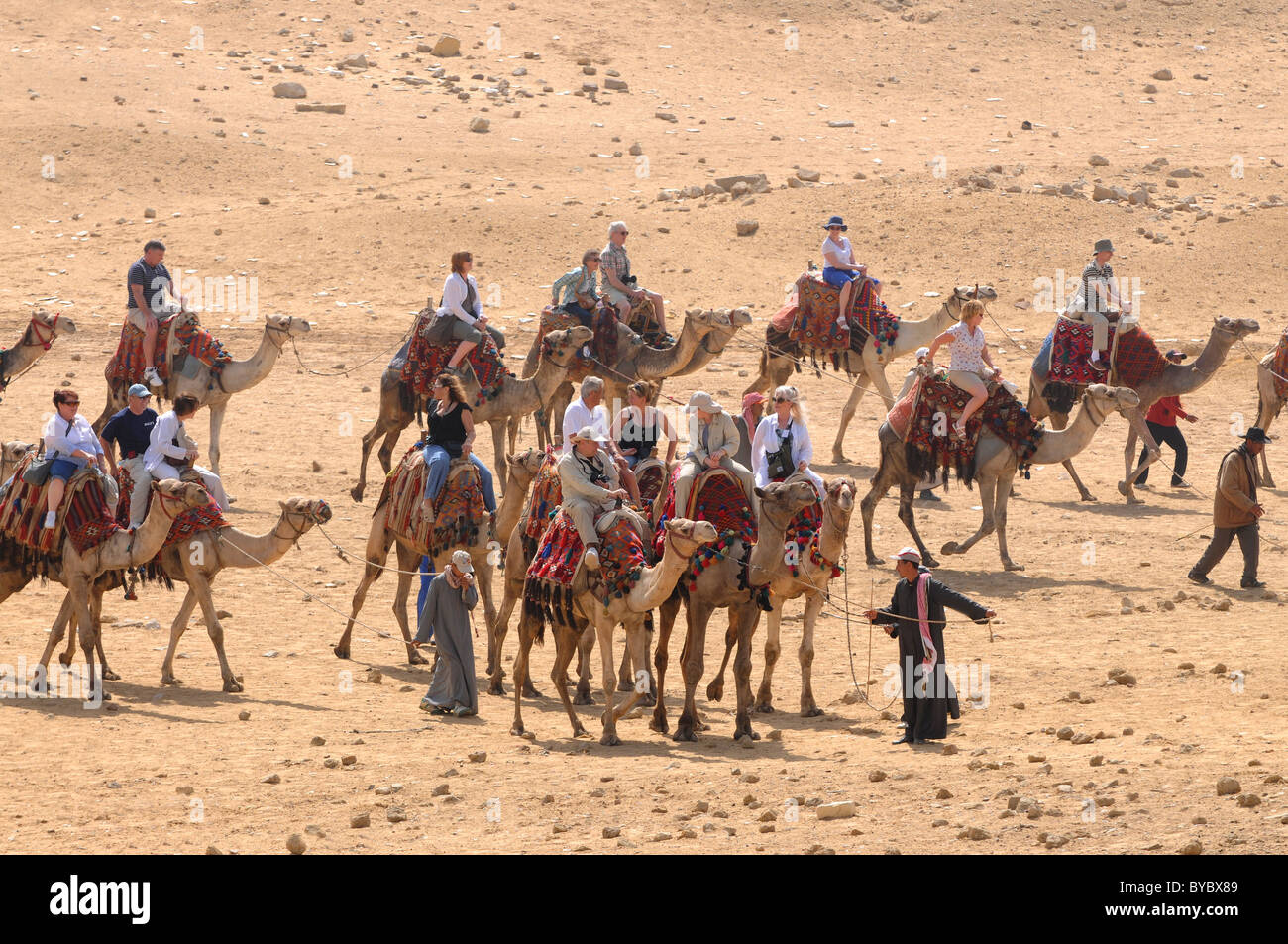 Ägypten, Touristen, Kamelreiten in Gizeh in Ägypten Stockfoto