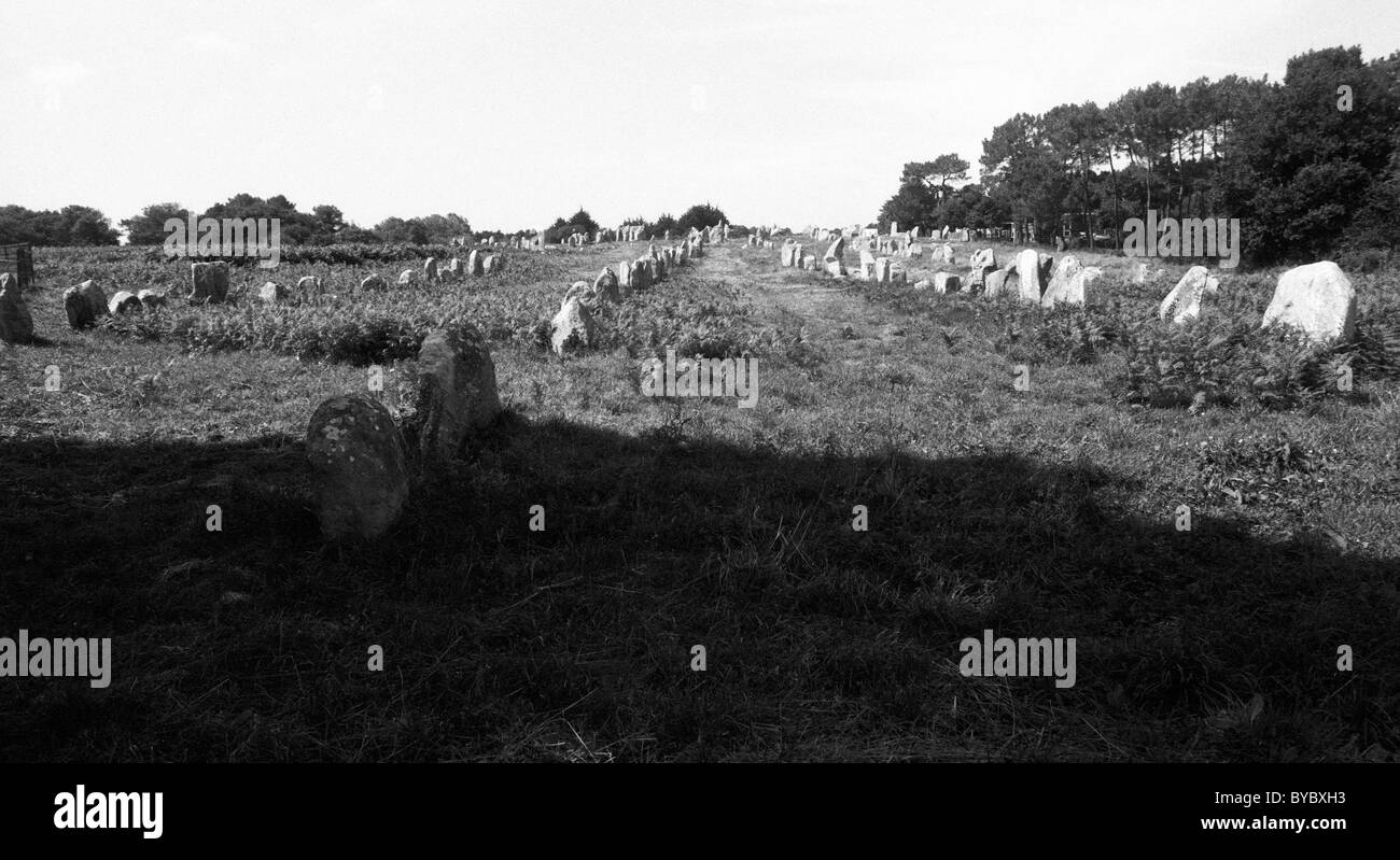 Megalith Felsen - Menhire auf Landschaft, Carnac, Bretagne, Bretagne, Frankreich Stockfoto