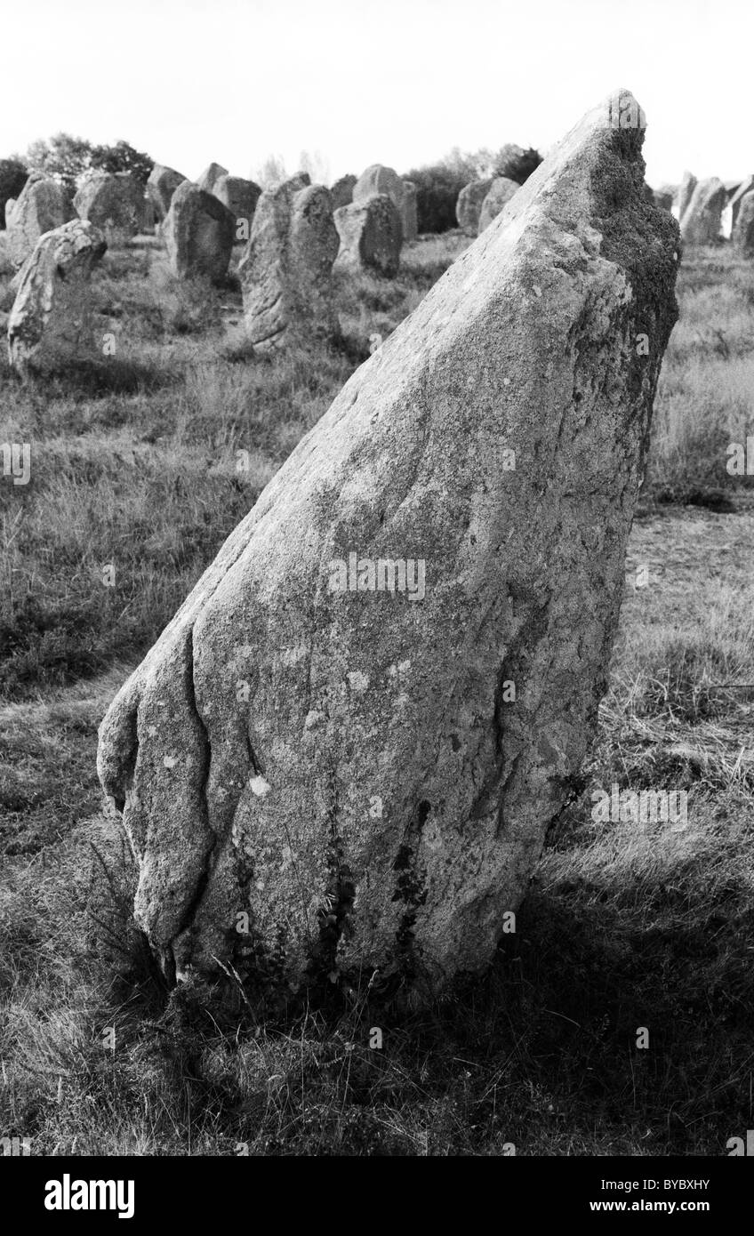 Megalith Felsen - Menhire auf Landschaft, Carnac, Bretagne, Bretagne, Frankreich Stockfoto