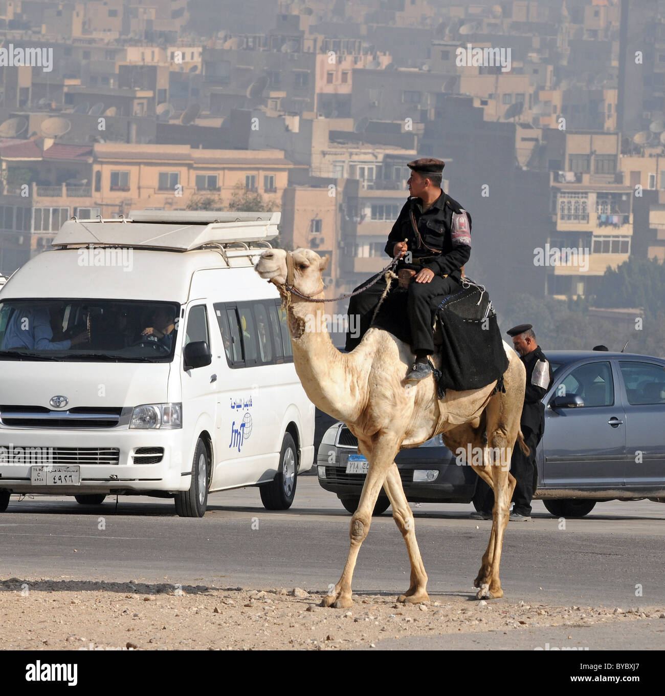 Polizei auf Kamelen von Gizeh in Ägypten mit Kairo im Hintergrund. Stockfoto