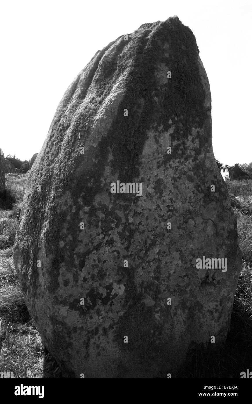 Megalith Felsen - Menhire auf Landschaft, Carnac, Bretagne, Bretagne, Frankreich Stockfoto