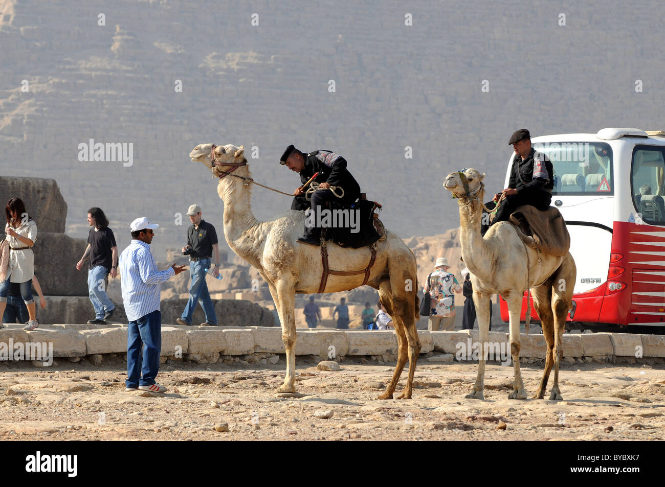 Polizei auf Kamelen von Gizeh in Ägypten. Stockfoto
