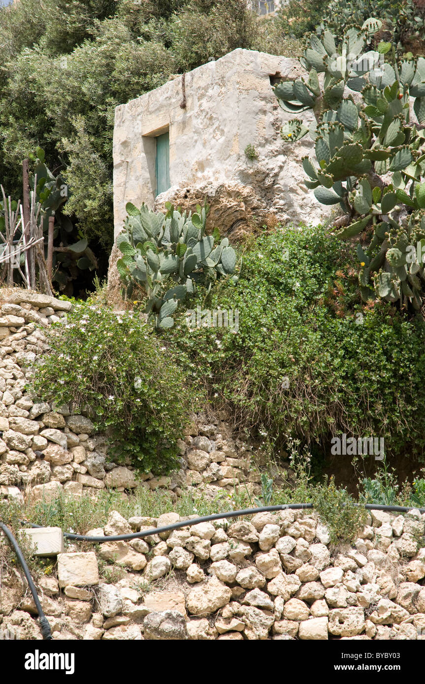 Gozo Malta landwirtschaftliche Gebäude lokale Leute verwenden zum Speichern von Werkzeugen und Ernten aus lokalem Stein gebaut und rund um die Inseln gefunden Stockfoto