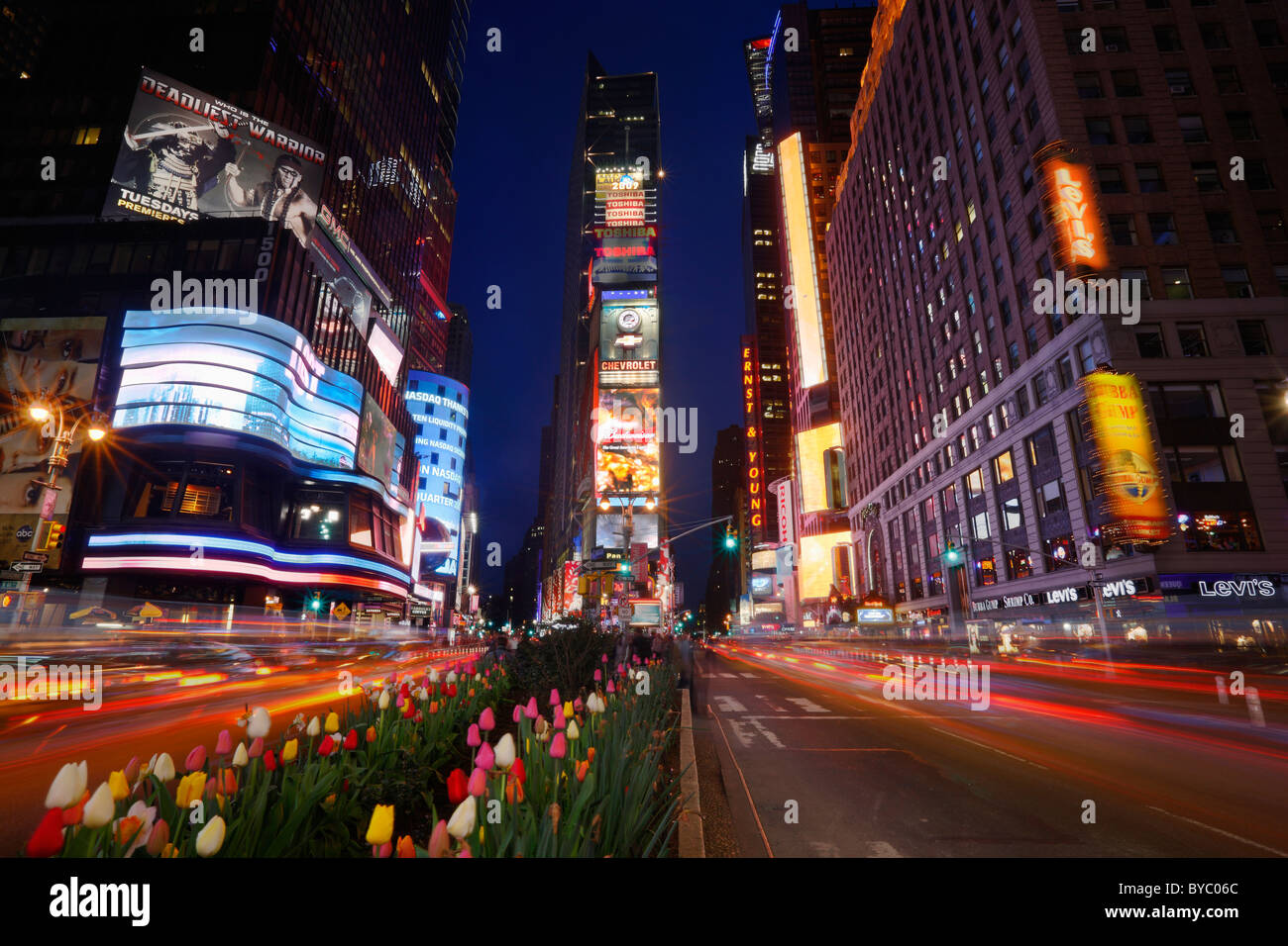 New York, Times Square, in der Nacht mit Blumen Stockfoto