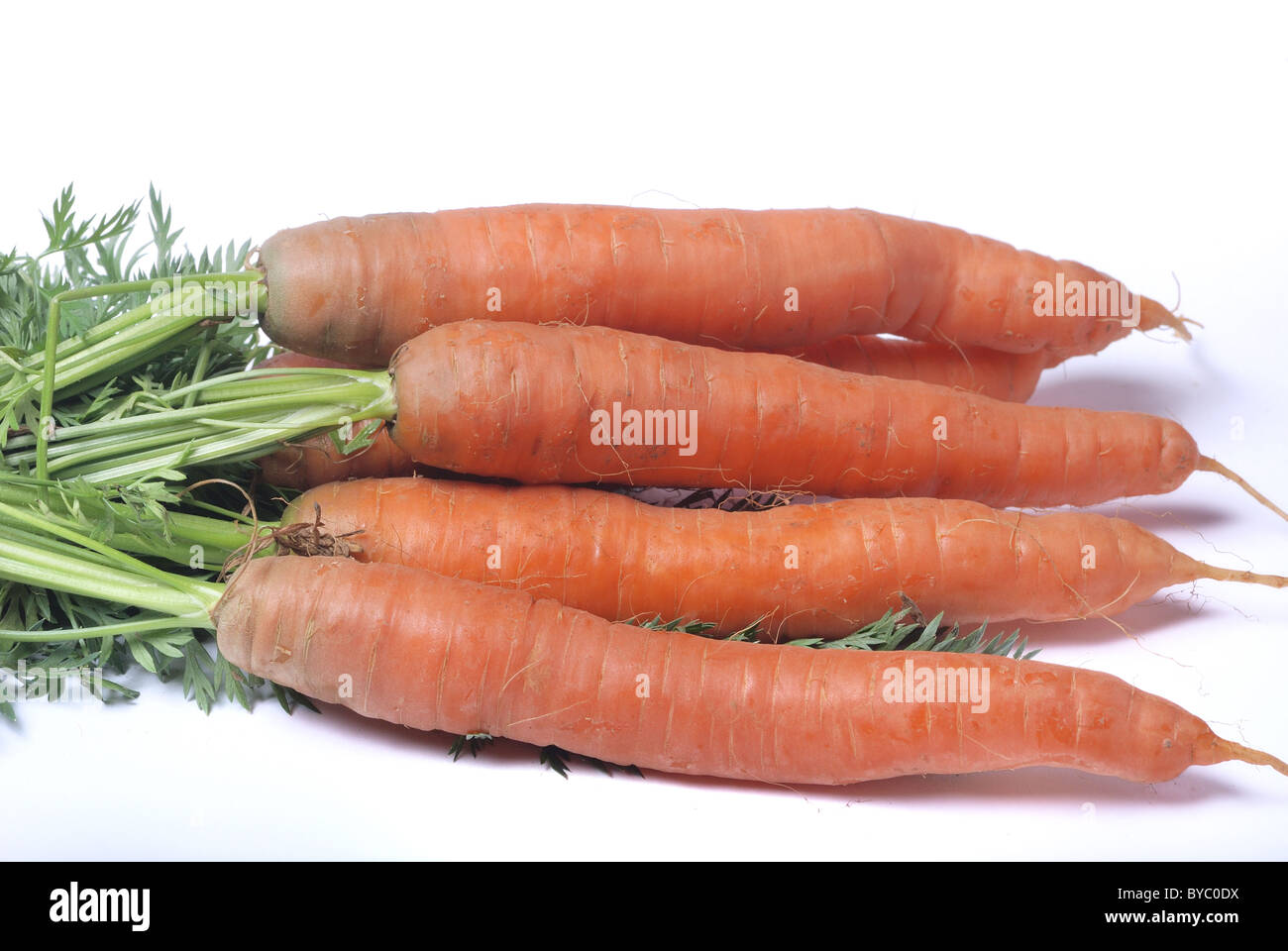 Karotte auf weißem Hintergrund Stockfoto