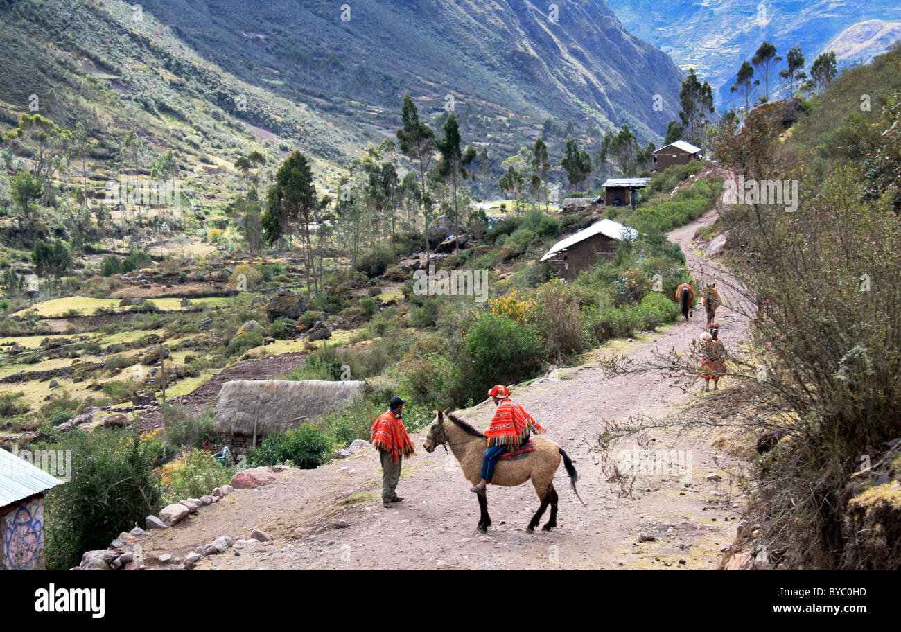 Anden, Cuzco, Peru Stockfoto