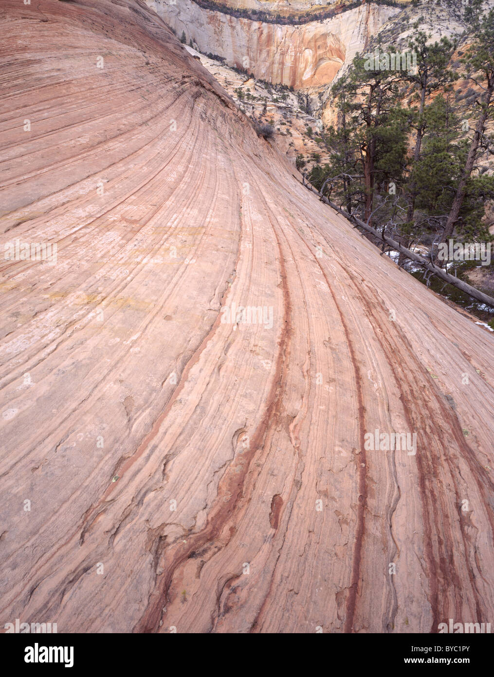 Sandsteinschichten auf Rock, Winter, Zion Nationalpark, Utah Stockfoto