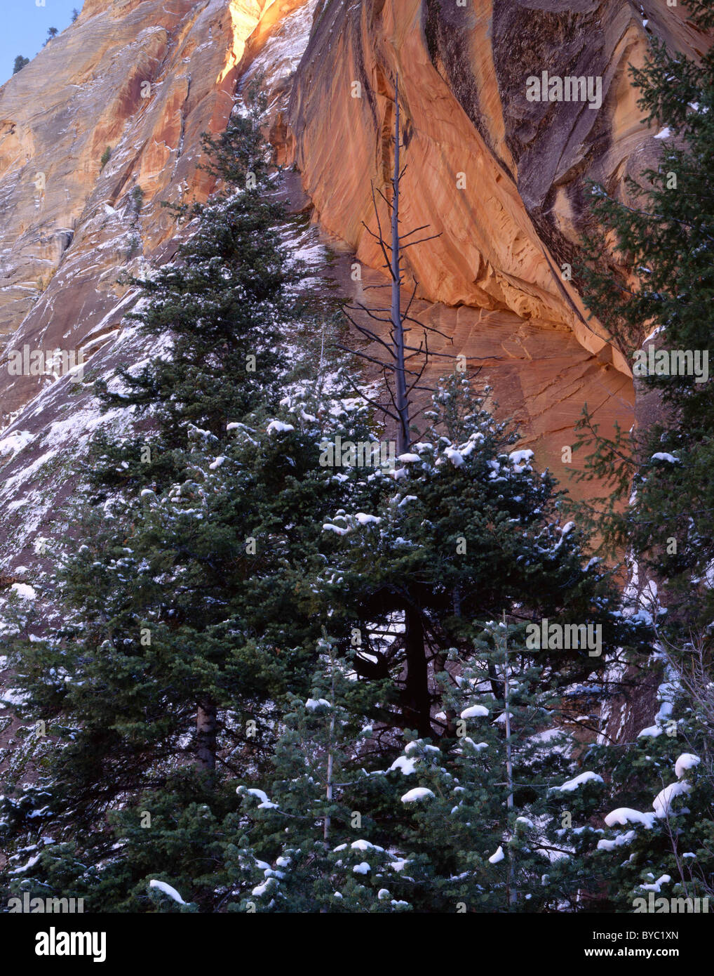 Sandsteinschichten auf Rock, Winter, Zion Nationalpark, Utah Stockfoto