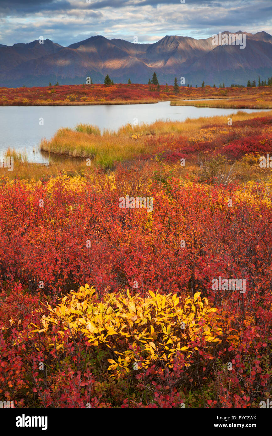 Denali Highway, Alaska. Stockfoto