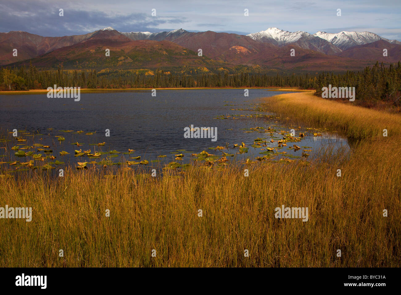 Nabesna Road, Wrangell-St.-Elias-Nationalpark, Alaska. Stockfoto