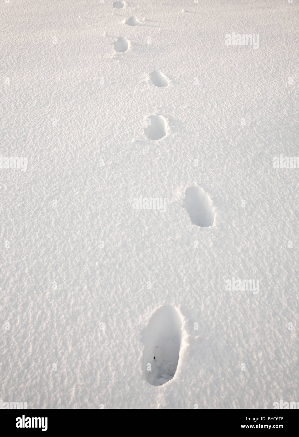 Schritte in der Ferne in tiefen Sidelit Schnee verschwindet Stockfoto