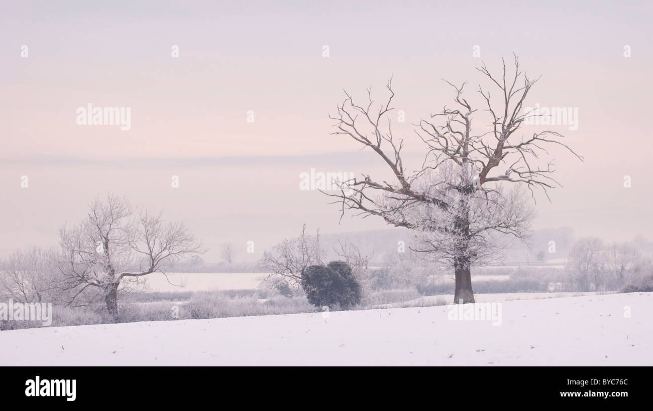 Eine Winterszene teilgenommen an einem Dezember Elmore, Gloucestershire, England UK Stockfoto