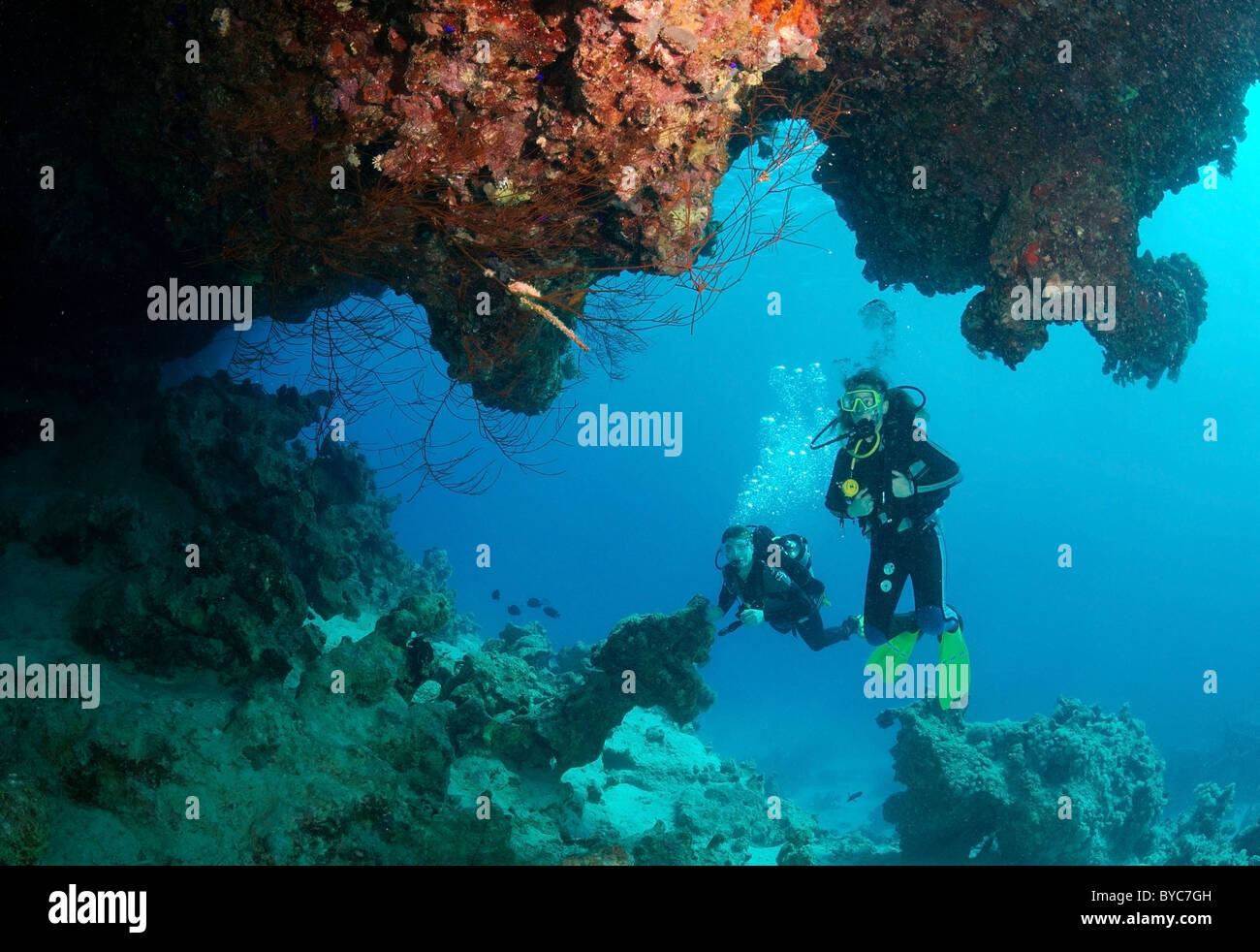 Paar Taucher Blick auf Coral Cave Stockfoto