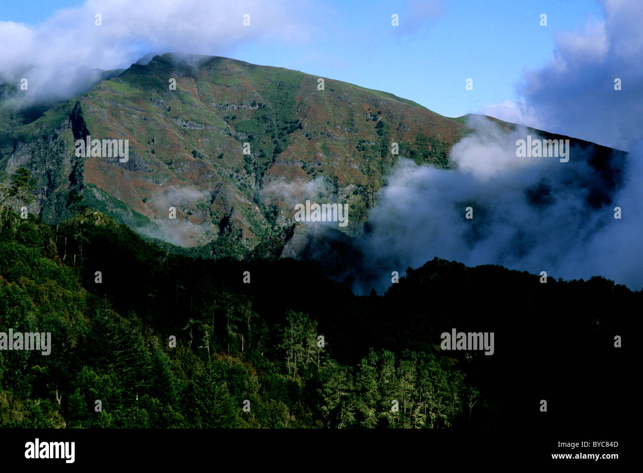 Das robuste, bergig und grünen Interieur von Madeira, eine portugiesische Insel vulkanischen Ursprungs im Atlantischen Ozean gelegen Stockfoto
