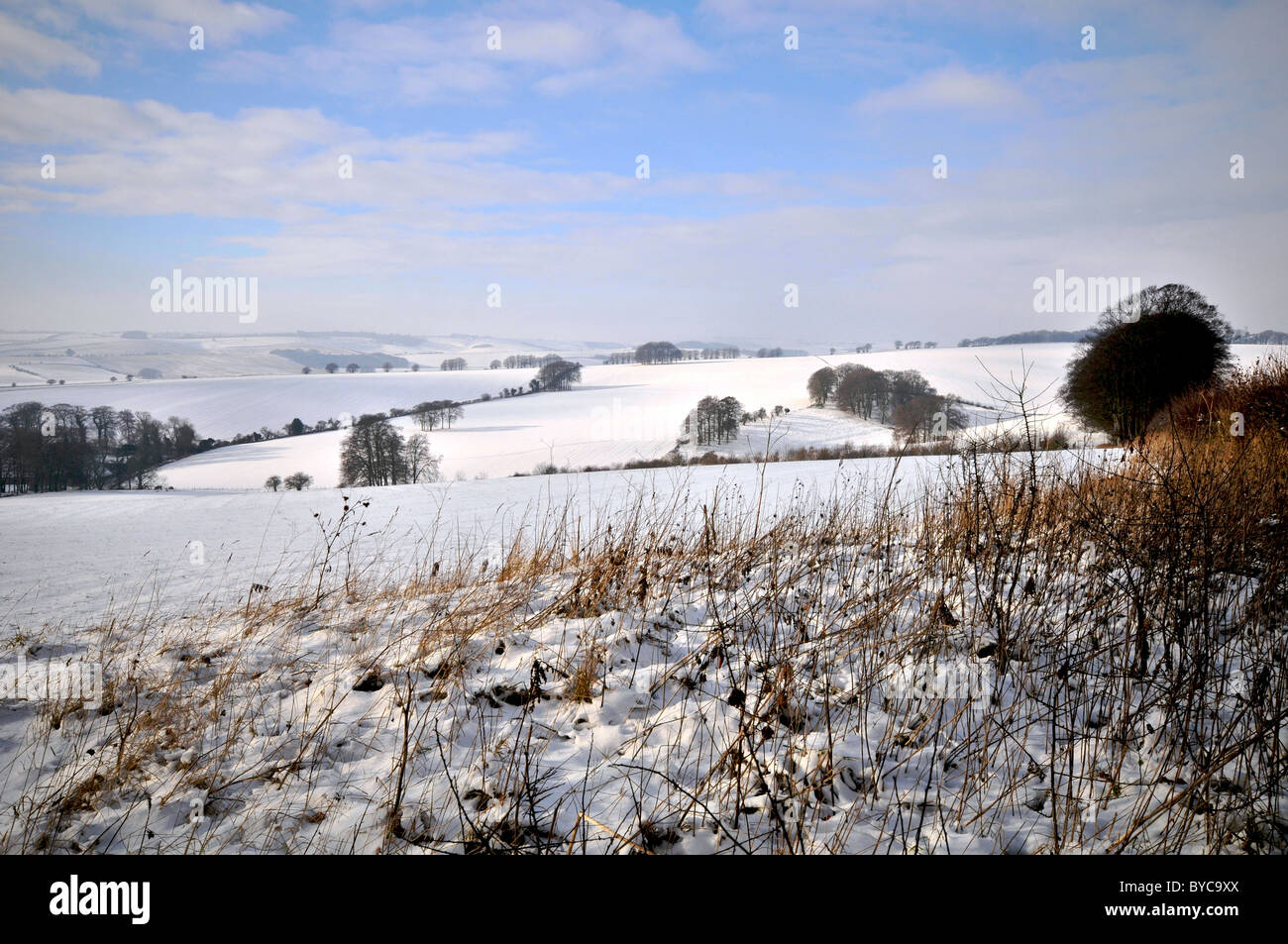 Berkshire Downs Baydon Wiltshire UK Winter Schnee Stockfoto