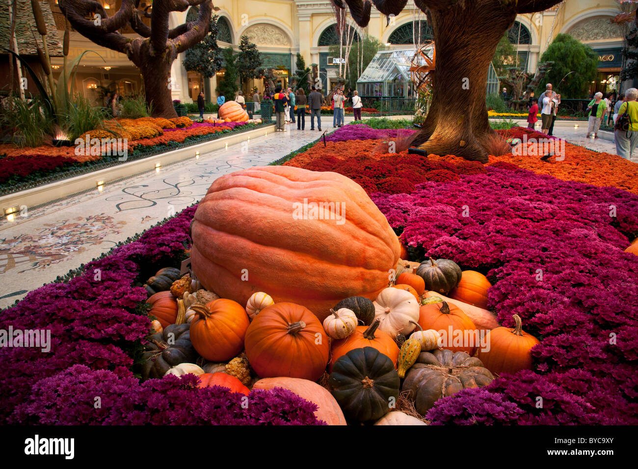 Botanische Gärten in Bellagio Resort and Casino, Las Vegas, Nevada Stockfoto