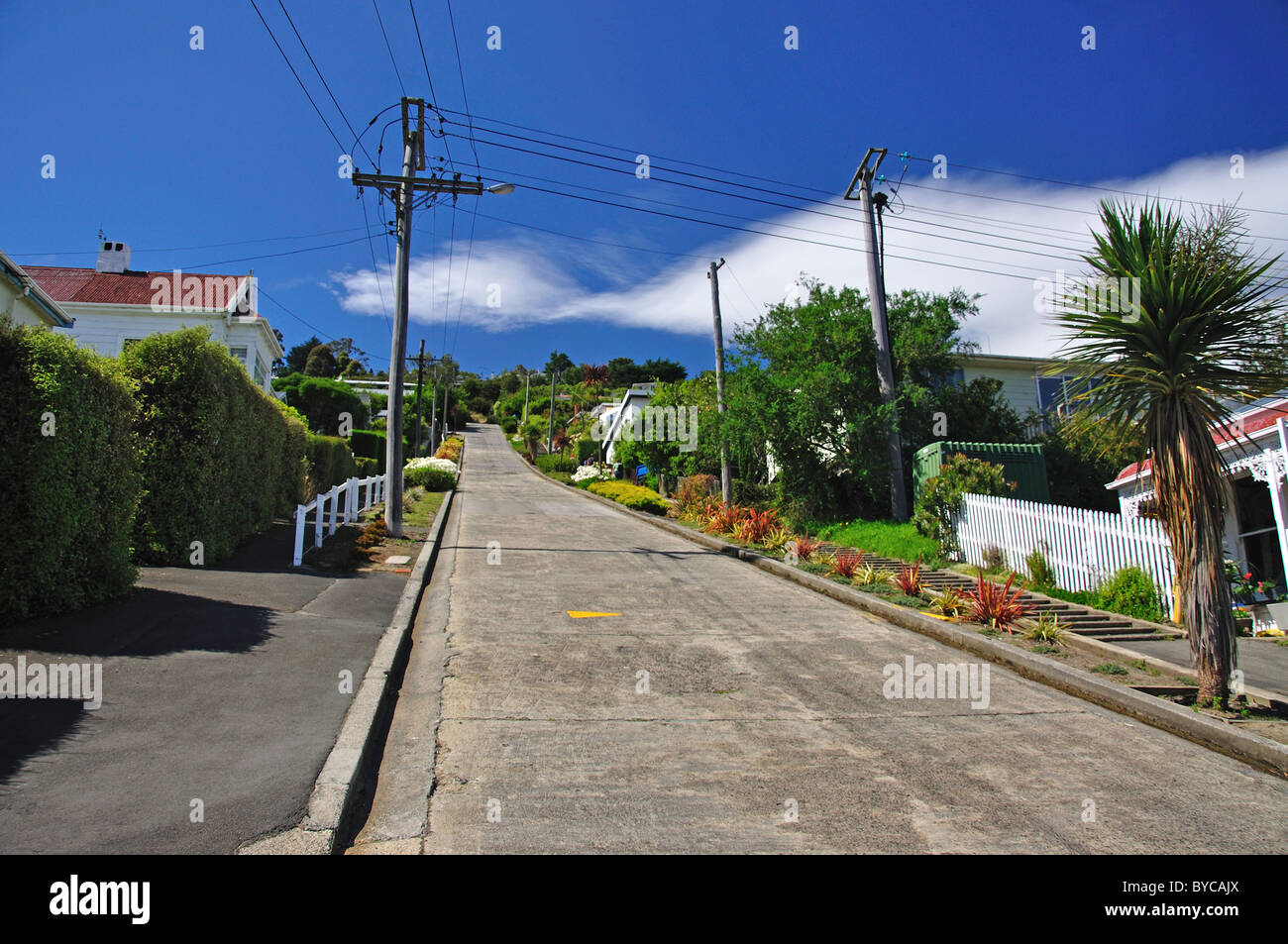 Baldwin Street (steilste Straße der Welt), North East Valley, Dunedin, Otago, Südinsel, Neuseeland Stockfoto