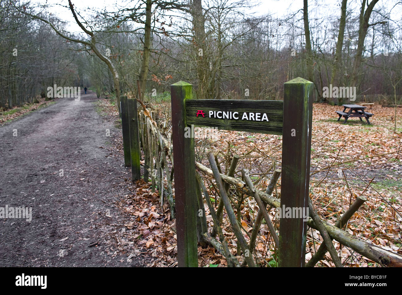 Ein Zeichen für einen Picknick-Platz in Norsey Wäldern in Essex. Stockfoto