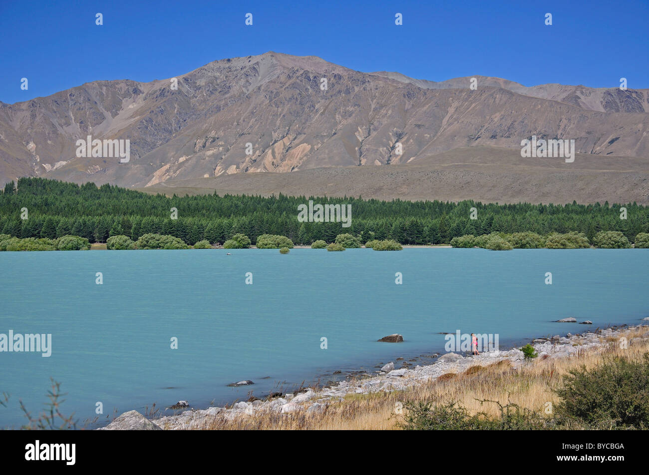 Lake Tekapo, Mackenzie District, Canterbury, Südinsel, Neuseeland Stockfoto