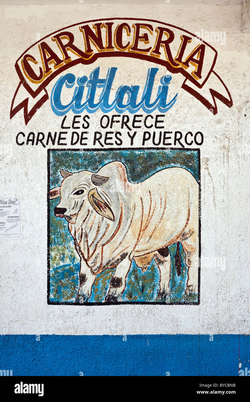 Herrliche hand bemalt Streetart zeichen Malerei an der Wand der Mexikanischen Metzgerei Darstellung einer Kuh Werbung Rind & Schwein zum Verkauf Mexiko Stockfoto