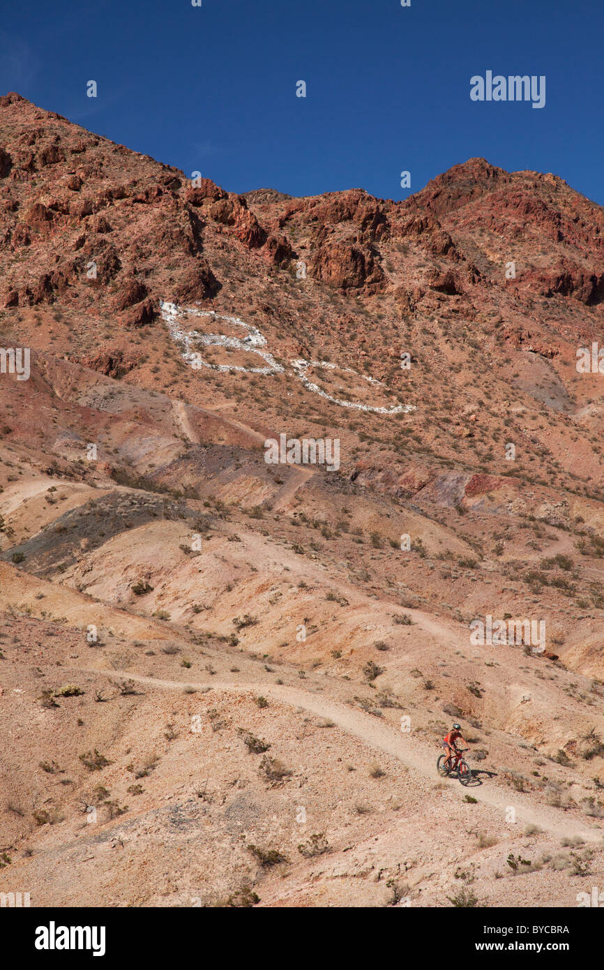 Mountainbiken auf den Wanderwegen im Bootleg Canyon Mountainbike-Park, Boulder City, Nevada (Modell freigegeben) Stockfoto