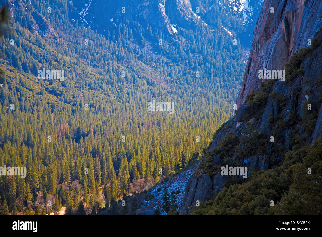 Yosemite-Nationalpark in Kalifornien Stockfoto