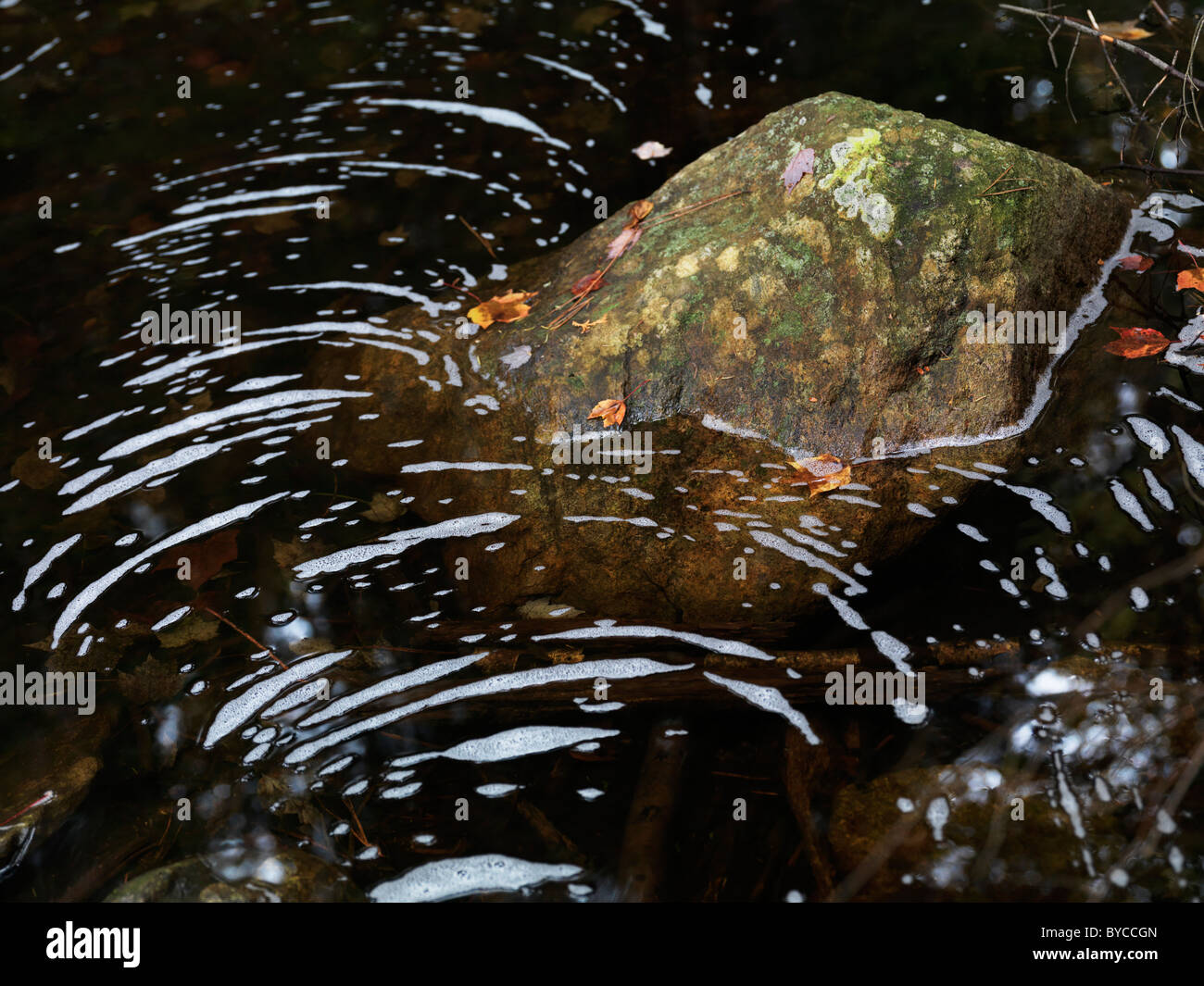 Muster der Bläschen an der Oberfläche des Wassers um einen Felsen in einem Teich. Herbst Natur szenischen. Stockfoto