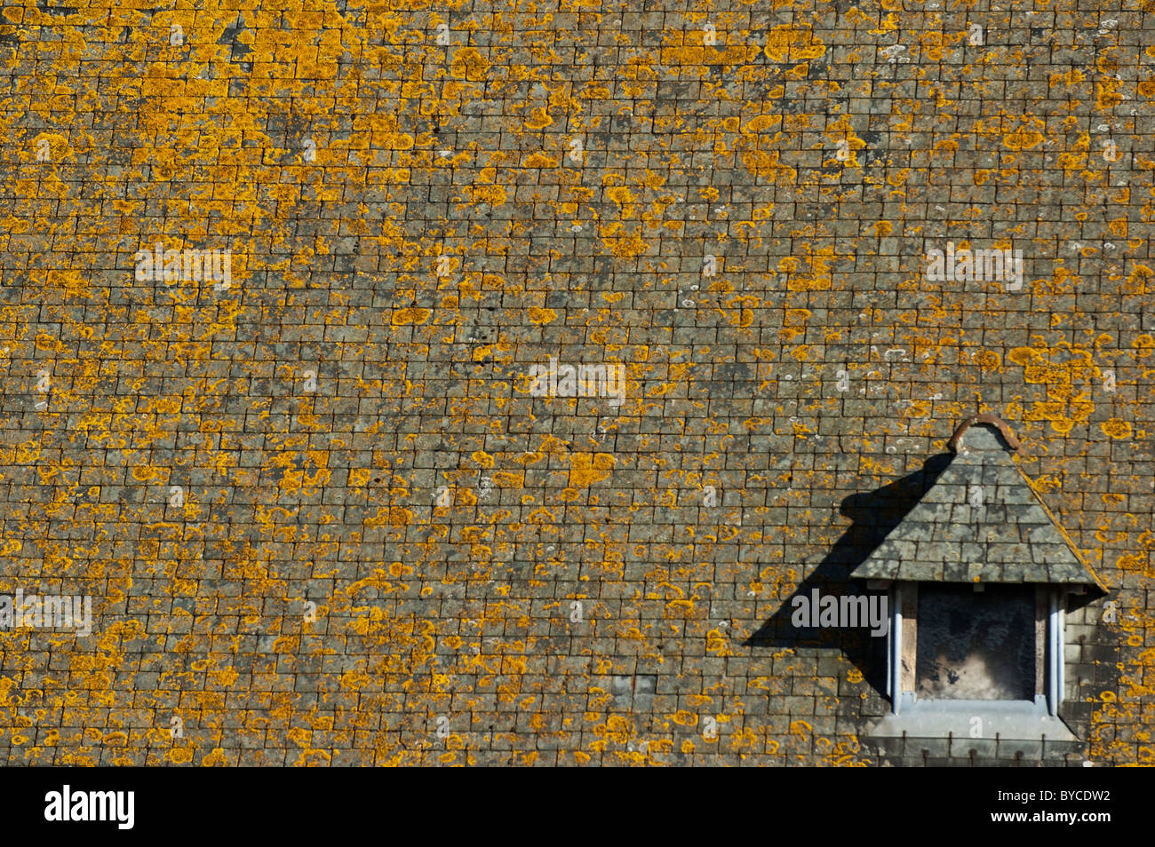 Schieferdach bedeckt im Moos in Saint-Malo, Bretagne, Frankreich. Stockfoto