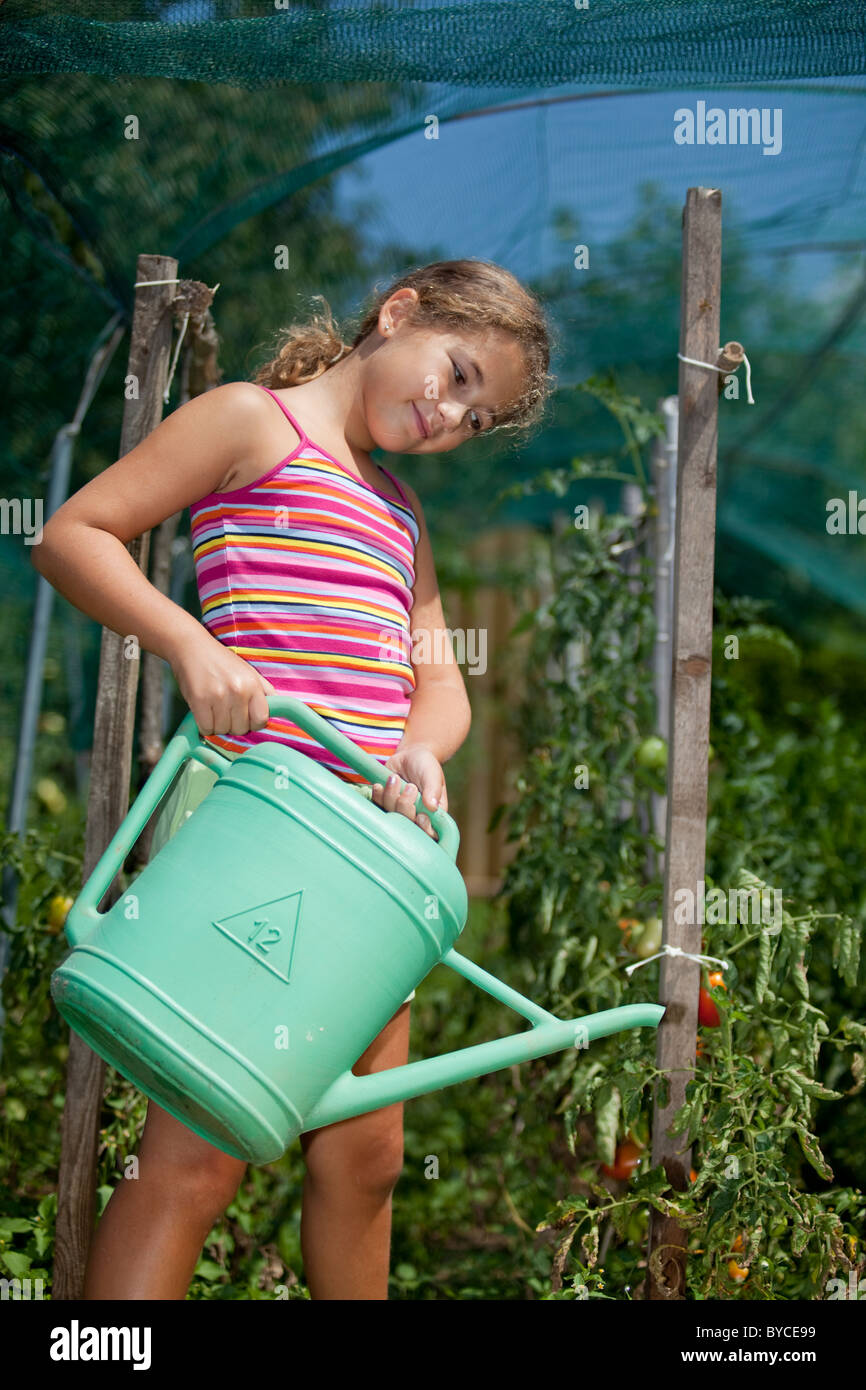 Kleine Mädchen die Tomaten im Garten Bewässerung Stockfoto
