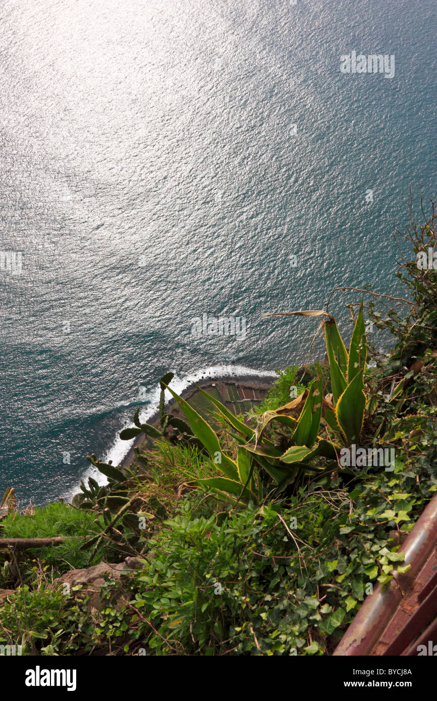Nach unten gerichtete Blick vom Cabo Girao, Madeira Stockfoto