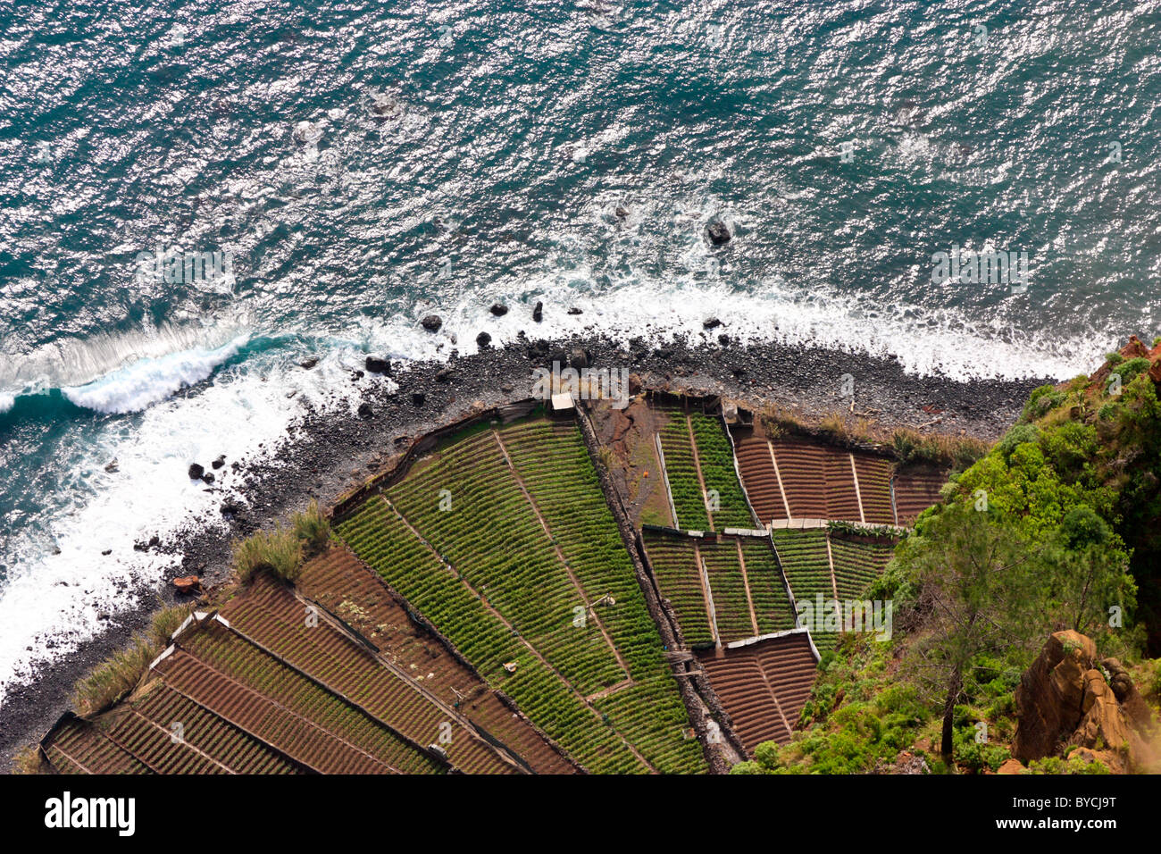 Nach unten gerichtete Blick vom Cabo Girao, Madeira Stockfoto