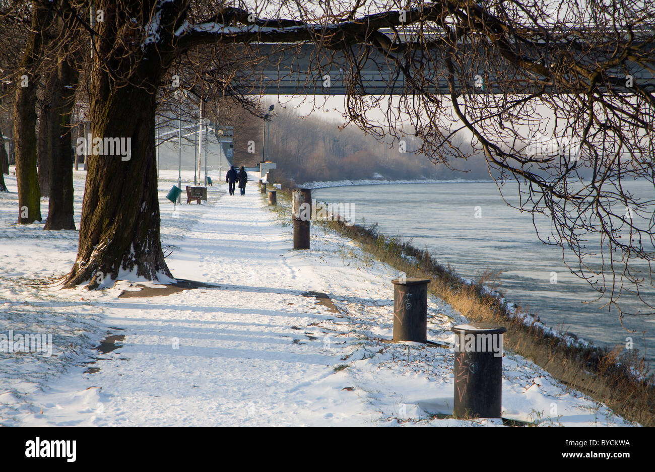 zu Fuß durch Donau im winter Stockfoto