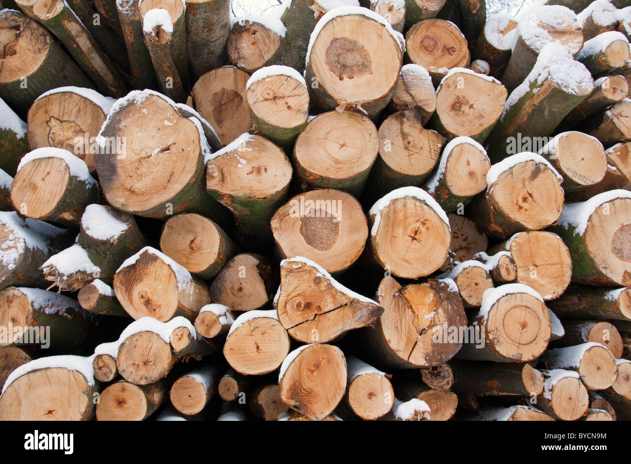 Haufen von Stückholz für Heizung im Winter gestapelt Stockfoto