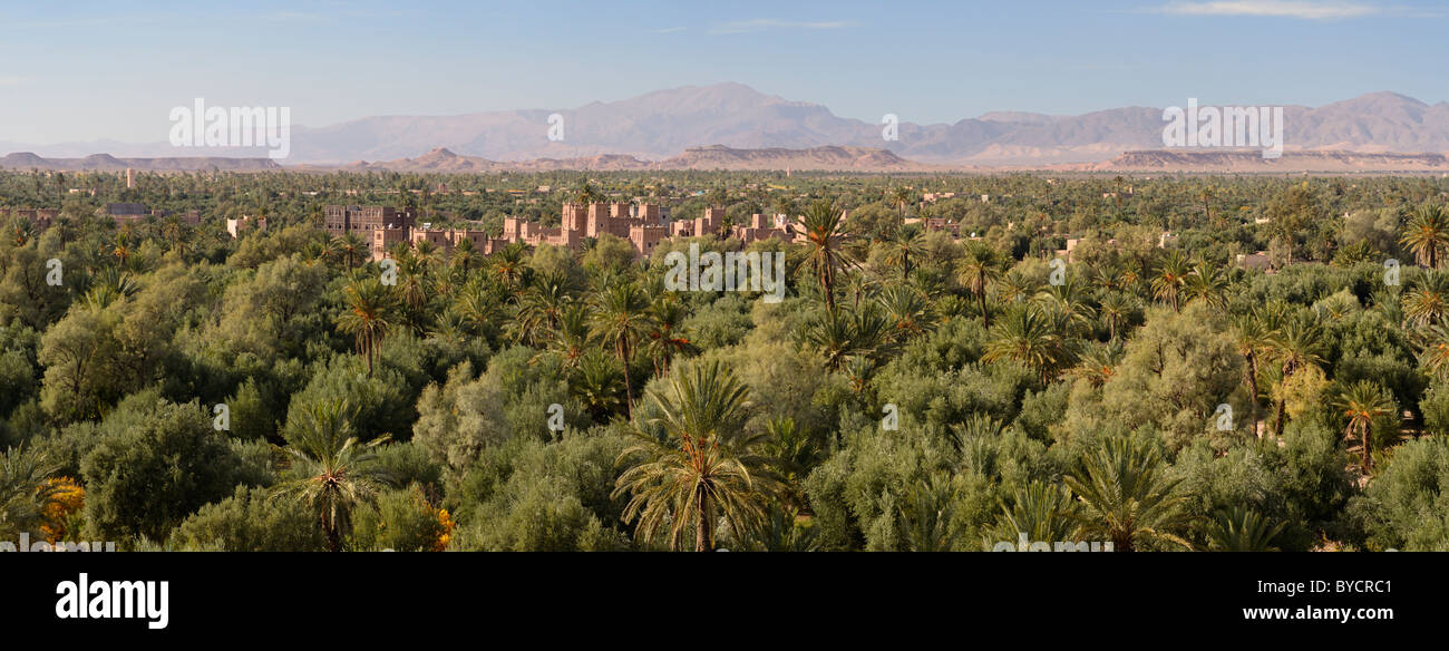 Panorama der Kasbah Amridil in der skoura Oasis Palm Grove Dades Tal mit hohen Atlas Marokko Stockfoto