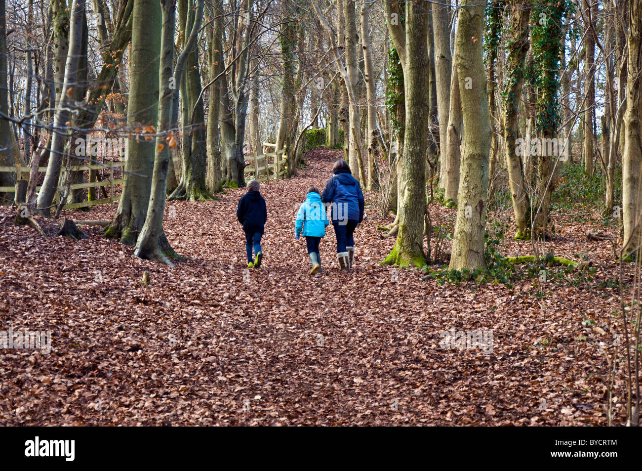 Mutter und Kinder zu Fuß durch Wald Stockfoto