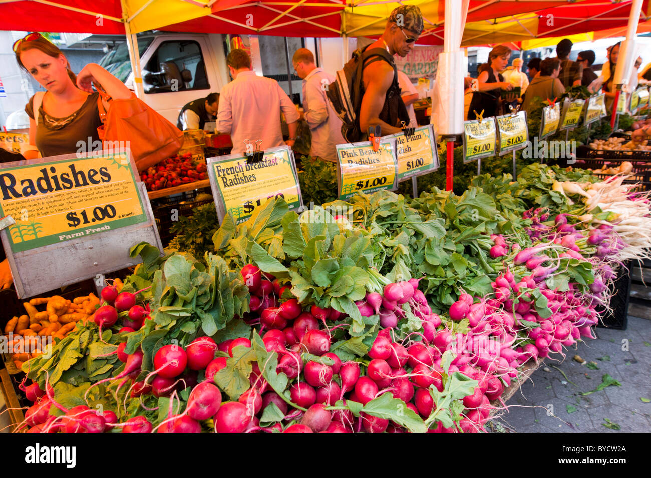 Obst- und Gemüsemarkt auf dem Greenmarket in Union Square, New York City, USA Stockfoto