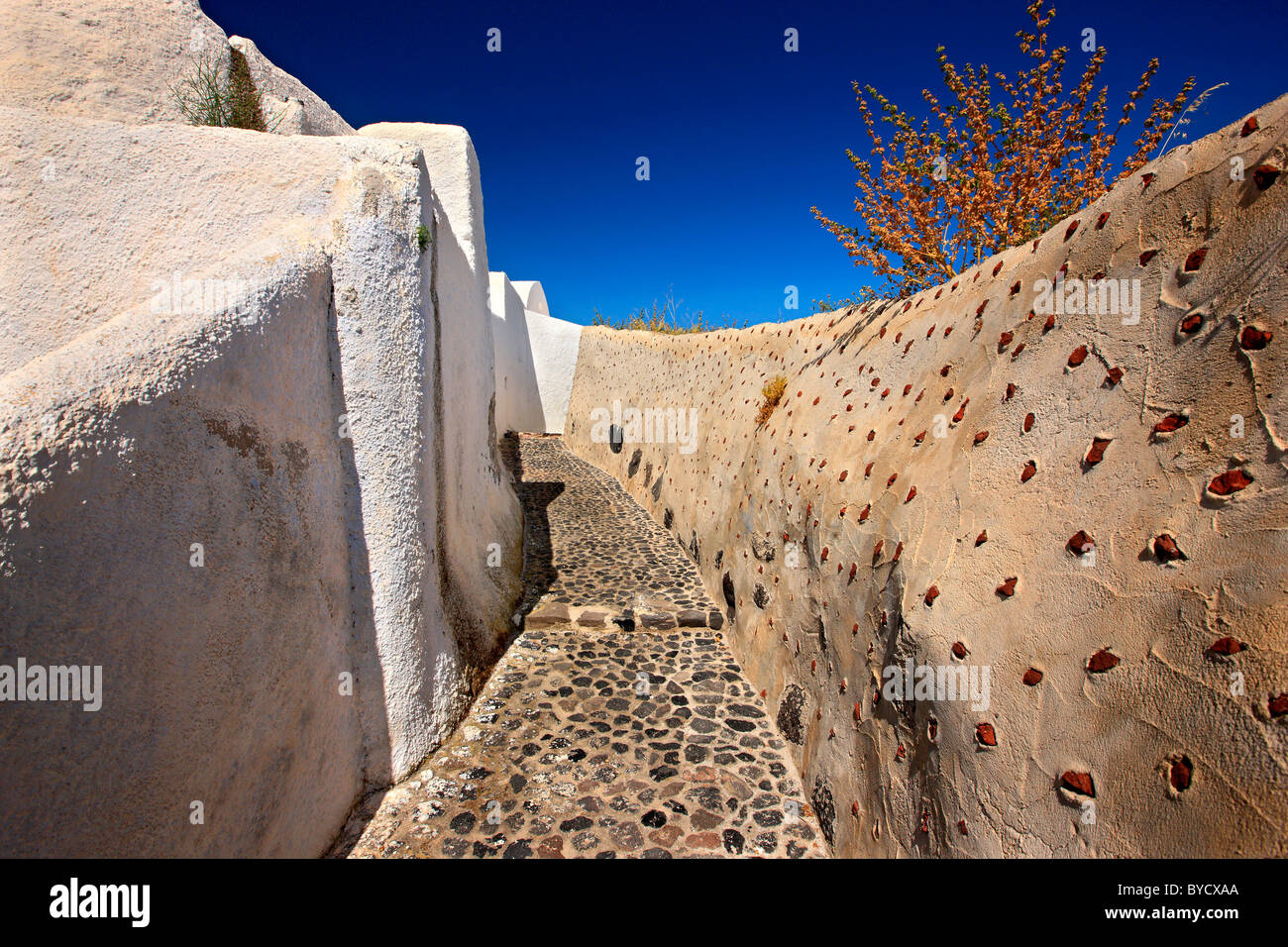 Eine traditionelle "Rimidi" (gepflasterte Gasse) in Foinikia Dorf, Santorin, Kykladen, Griechenland Stockfoto